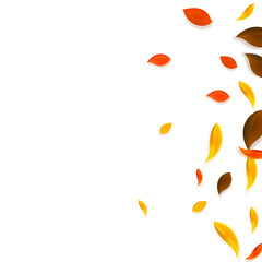 Falling autumn leaves. Red, yellow, green, brown c