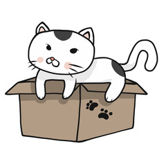 Cat in box cartoon illustration	