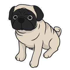 Pug dog cartoon illustration	