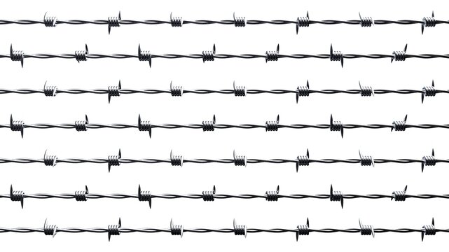 Barbwire on white background.
3D illustration.