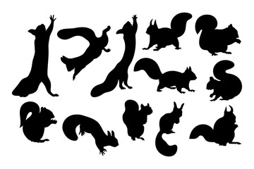 Squirrels templates for cutting programs illustrations isolated - 528609895