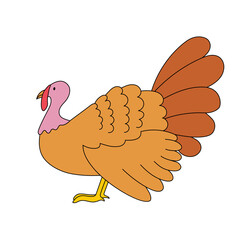 Vector illustration of thanksgiving turkey isolated on white background. Simple flat realistic turkey