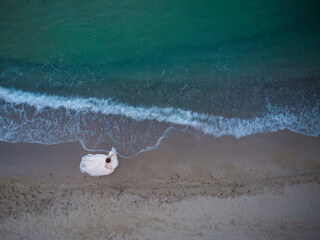 Obraz premium bride's walking on the beach