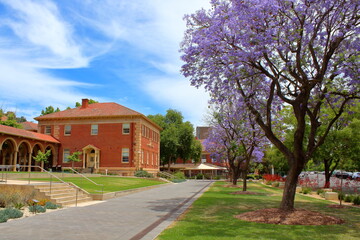 Fototapeta na wymiar University of Adelaide, South Australia 