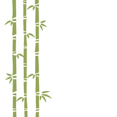 Vector bamboo illustration on white background