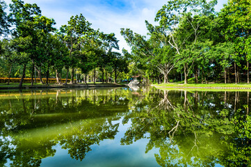 Obraz premium Shady Public Park in Chiang Mai Province