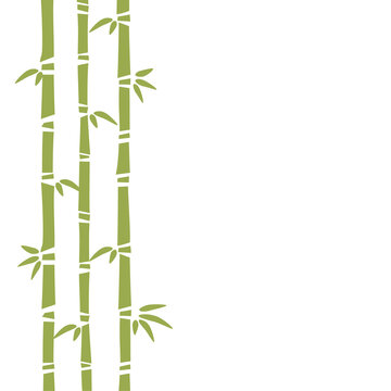 Green bamboo frame illustration © KY