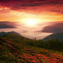 Fototapeta na wymiar morning nature scenery, awesome sunset landscape, beautiful morning background in the mountains