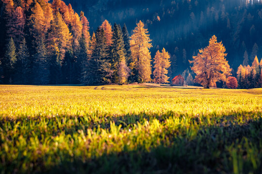 Adorable autumn view of Vallone valley with old wooden chalet on background. Fresh green grass on mountain pasture in Dolomite Alps, Italy. Picturesque outdoor scene in Italian countryside.
