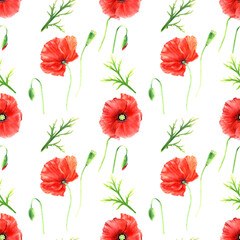 Seamlesss pattern with red wild poppies isolated on white background