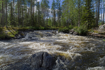 Rapids on the Karelian river.