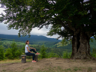 Side view of young woman in white t-shirt and blue jeans admiring breathtaking view while sitting on bench in the mountains. Female in casual clothes sits under large tree with forest background.