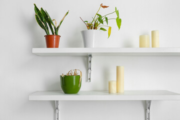 Shelves with wilted houseplants and candles on light wall