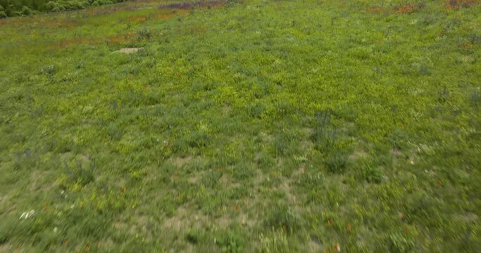 Spring Meadows And Flowers At Nature Surroundings Near Aspindza In Southern Georgia. Aerial Drone Shot