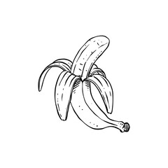 banana hand drawn illustration design