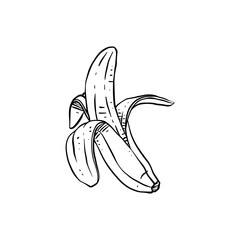 banana hand drawn illustration design