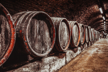 Wine barrels in wine-vaults in order