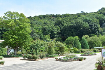 栃木県の名所　足利織姫神社　周辺の風景