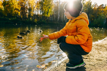 Little boy feed ducks on the lake