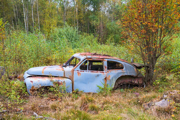 Old rusty car left in the woods