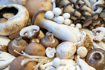 Variety of mushrooms whole and cut