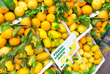 Italy, Amalfi town colorful architecture and Campania Amalfi coast landscapes , UNESCO site.