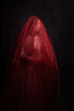 fine art studio portrait of woman in dress covered by thin red veil