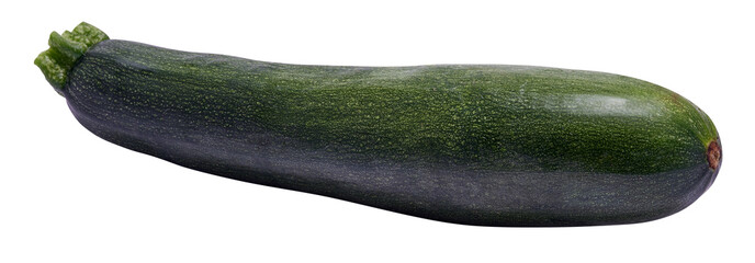 green natural organic zucchini vegetable isolated