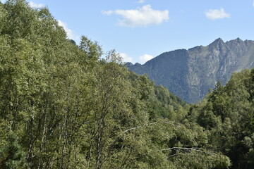 Fototapeta na wymiar Paysage de montagne aux Cascades de l’Artigue en Ariège
