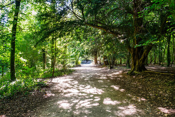 Leigh Woods, Bristol, UK