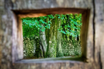 Leigh Woods, Bristol, UK