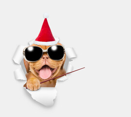 Happy puppy wearing sunglasses and red santa hat looking through a hole in white paper and pointing away on empty space