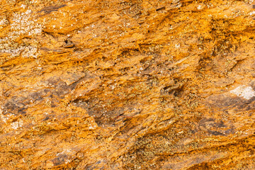 Orange stone background, Orange cement texture, Abstract texture background