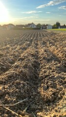 Ein trockner Acker vor einem Dorf. Sonne Gegenlicht, Klima, Landwirtschaft, Sommer, Herbst