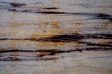 Naklejka premium Background and texture of old wooden boat