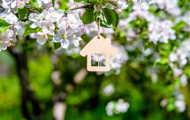 Symbol of the house on the branches of a flowering apple
