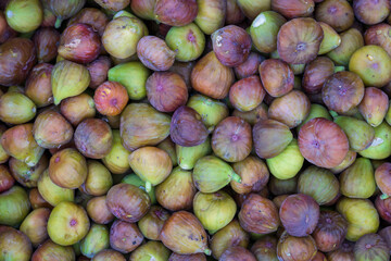 Closeup view of a tray of fresh and colorful purple red and yellow green tasty small figs on a market in Tajikistan