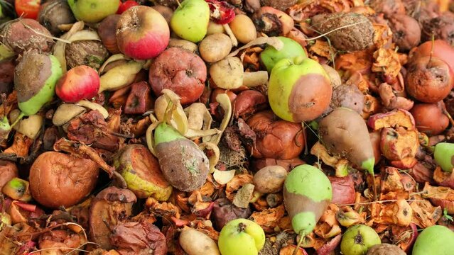 Food Waste. Compostable food scraps. Domestic organic waste for compost from fruits and vegetables. Recyclable materials. Separate waste collection. Compost bin with organic waste