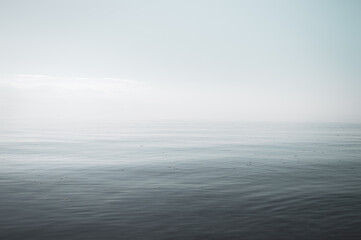 Grey seascape, water overgrown with algae