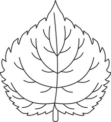 mulberry leaf vector icon black and white
