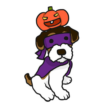 Terrier dog Halloween pumpkin cartoon illustration