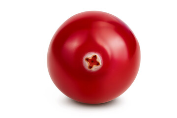 Cranberry isolated on white background with full depth of field