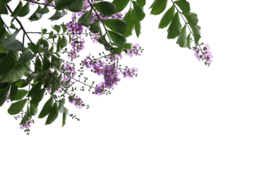 Realistic flowering plants foreground