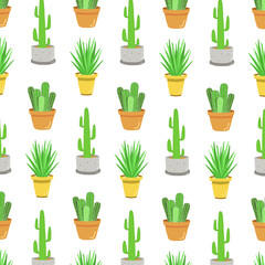 Cactus potted plant illustration pattern