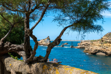 Biarritz, le rocher de la vierge à travers les pins © Dominique VERNIER