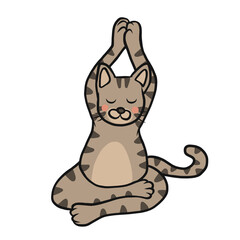 Namaste tabby cat play yoga cartoon illustration	