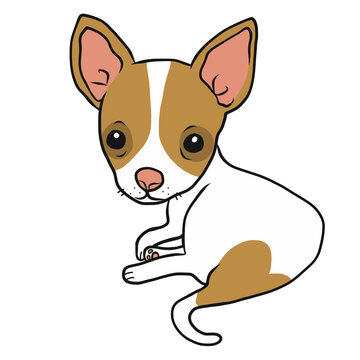 Chihuahua dog cartoon illustration	