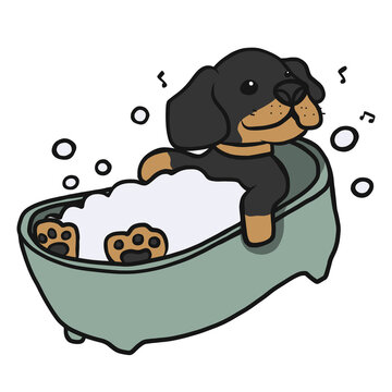 Dachshund dog showering in bathtub pet salon cartoon illustration	