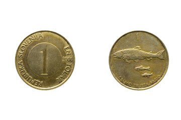 One tolar coin year 2000, Slovenia