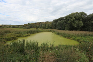 green swamp in the middle of the hills